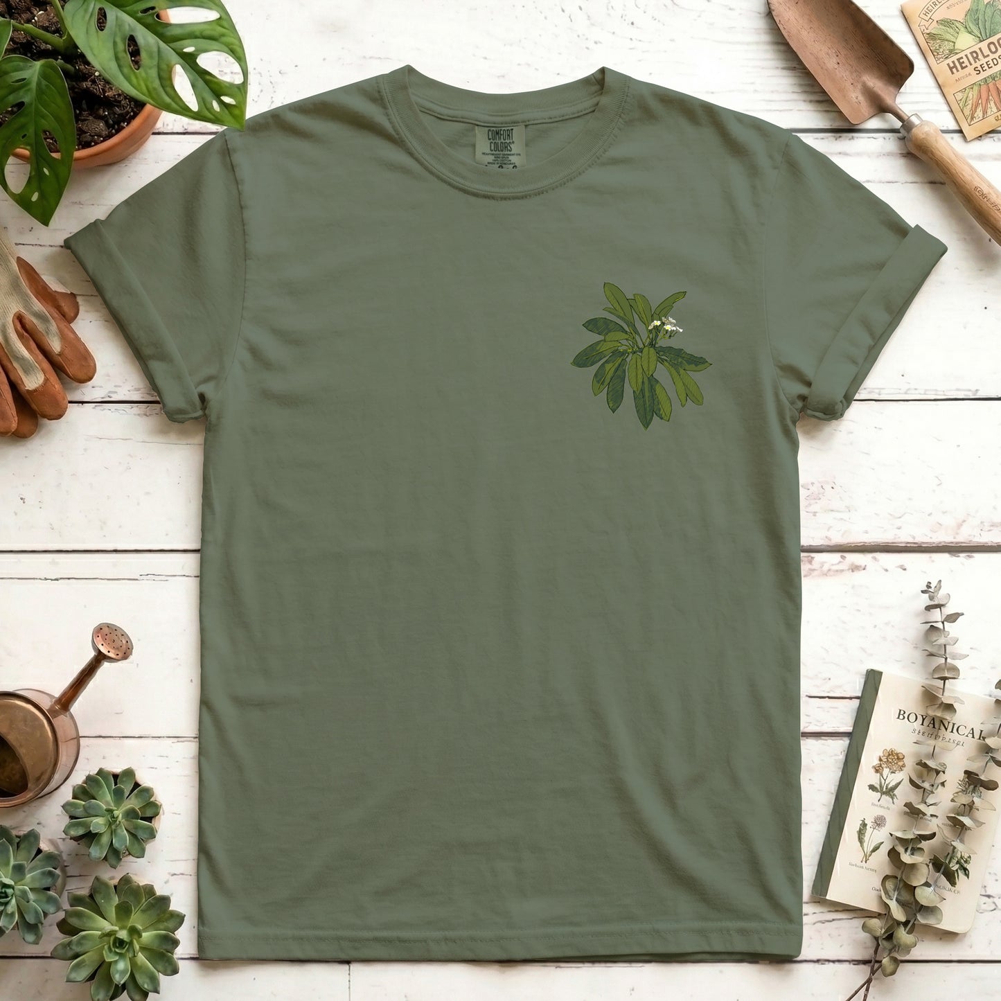 Euphorbia - Front