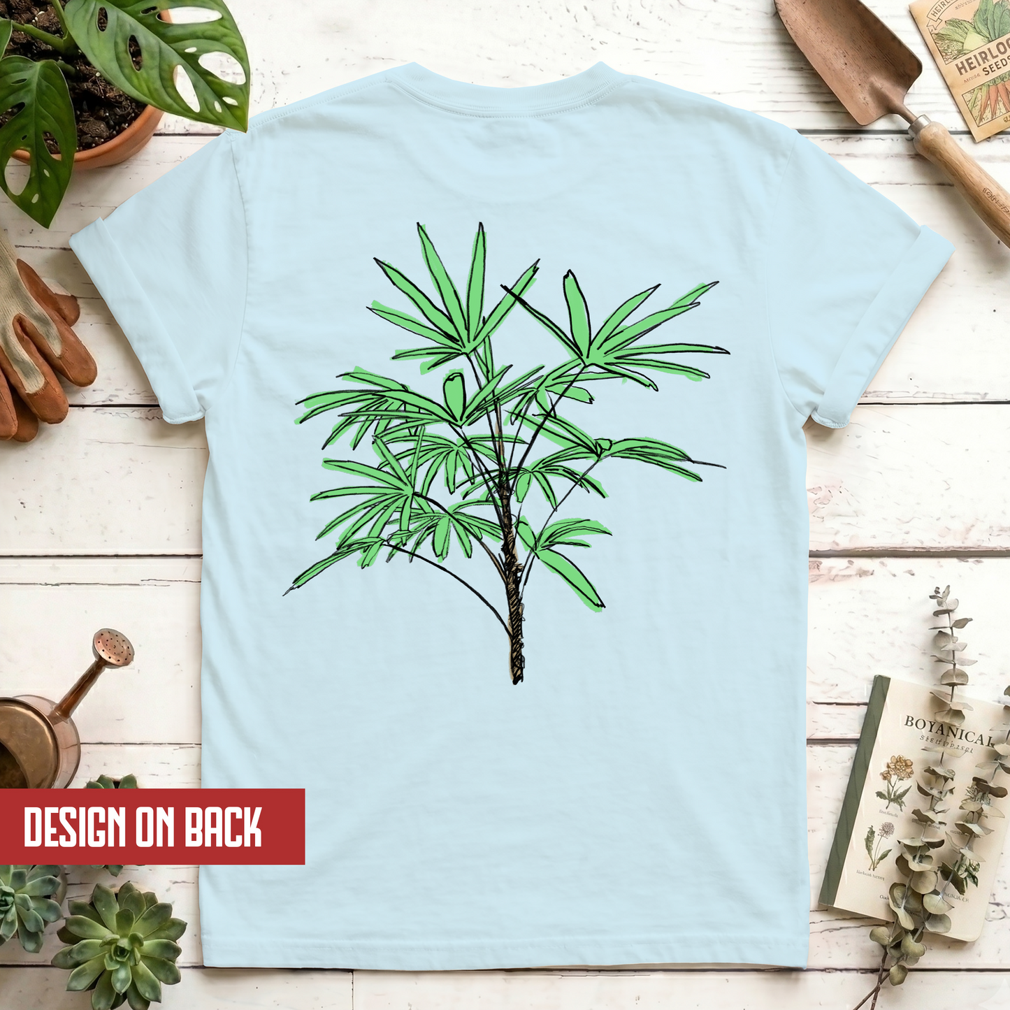Lady Palm