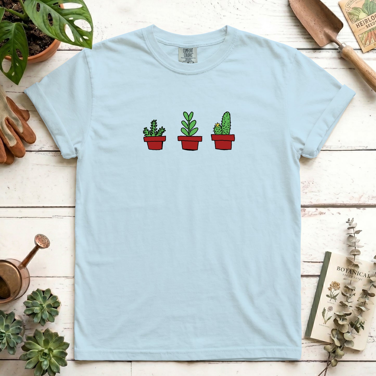house plants