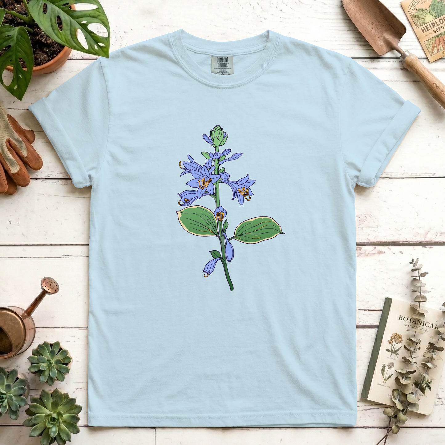 Hosta - Front