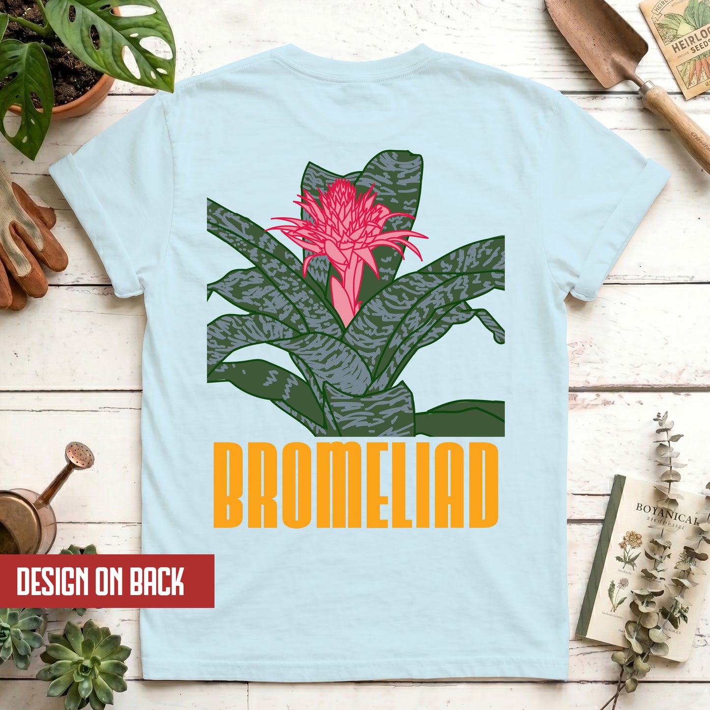 Bromeliad