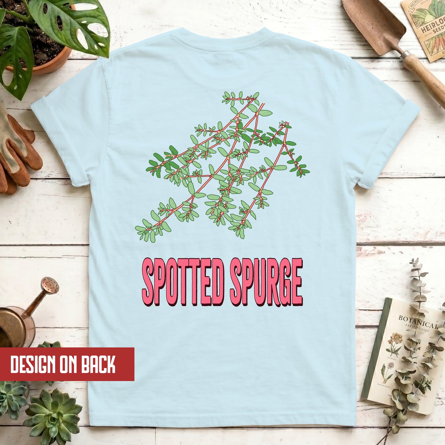 Spotted Spurge