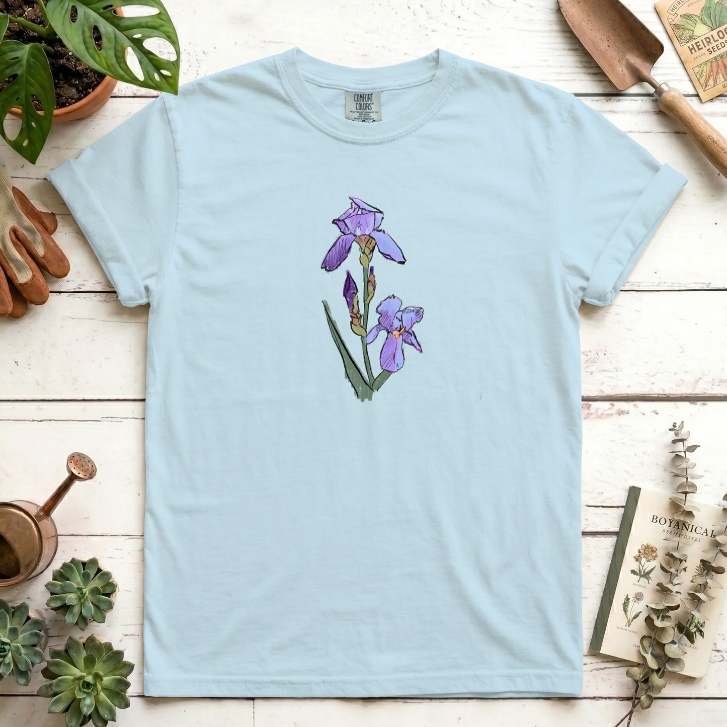 Iris sketch - Front