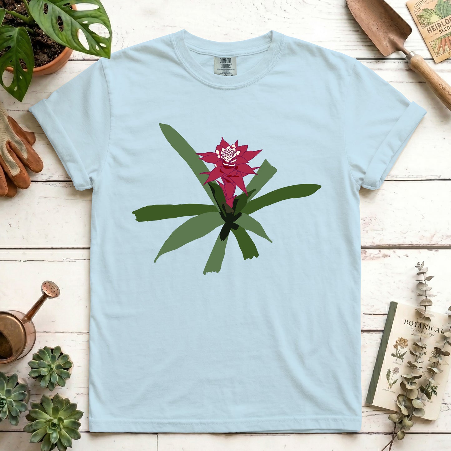 maroon bromeliad