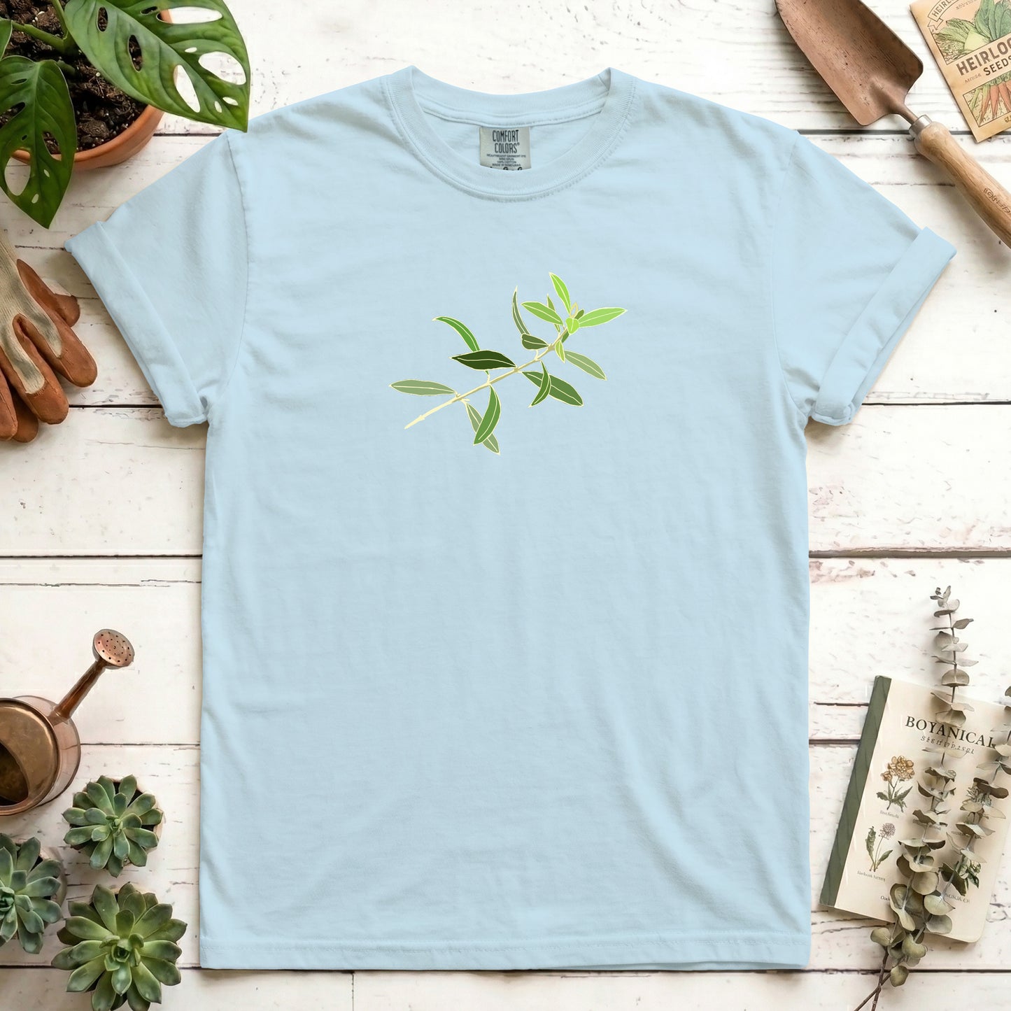 Olive branch