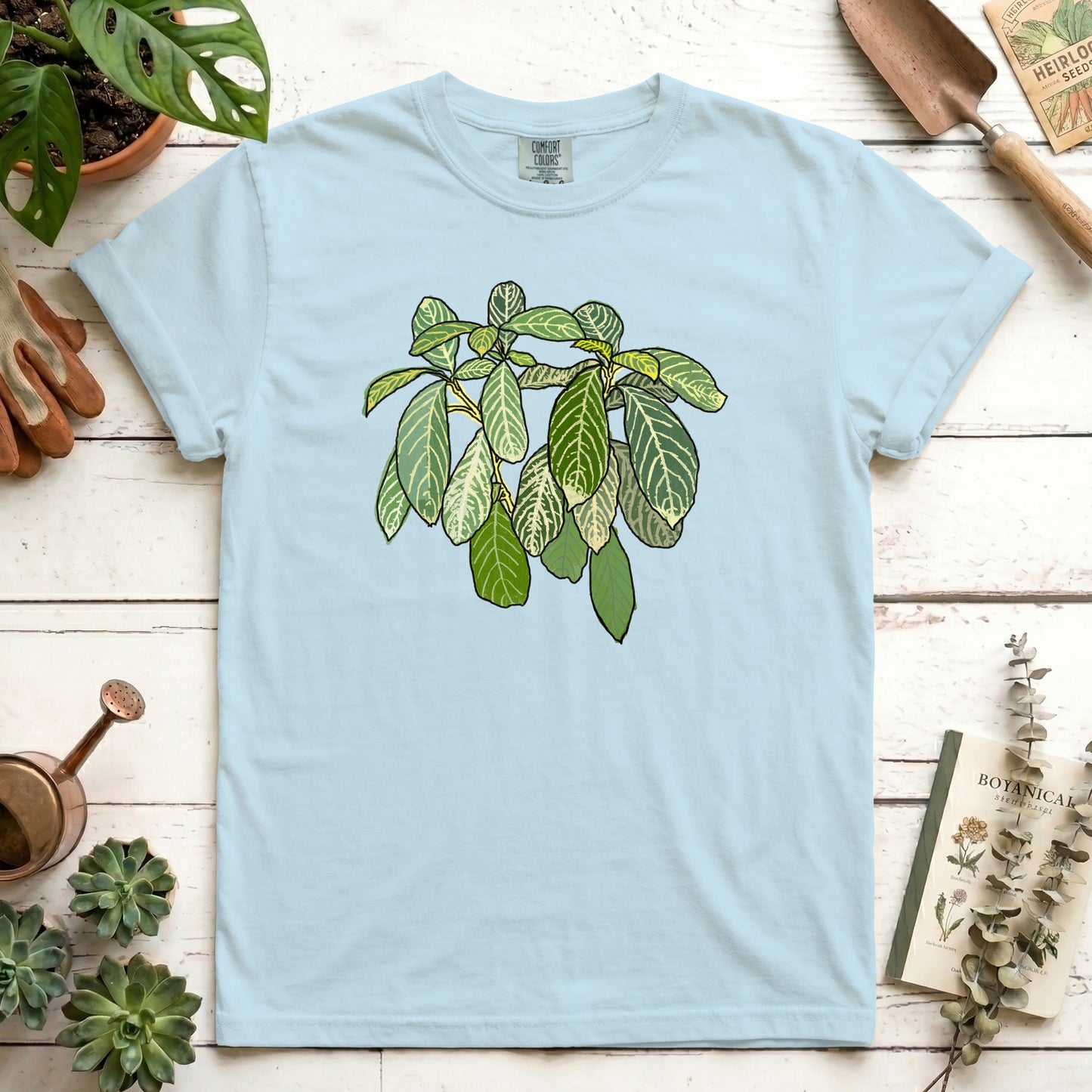 Zebra Plant