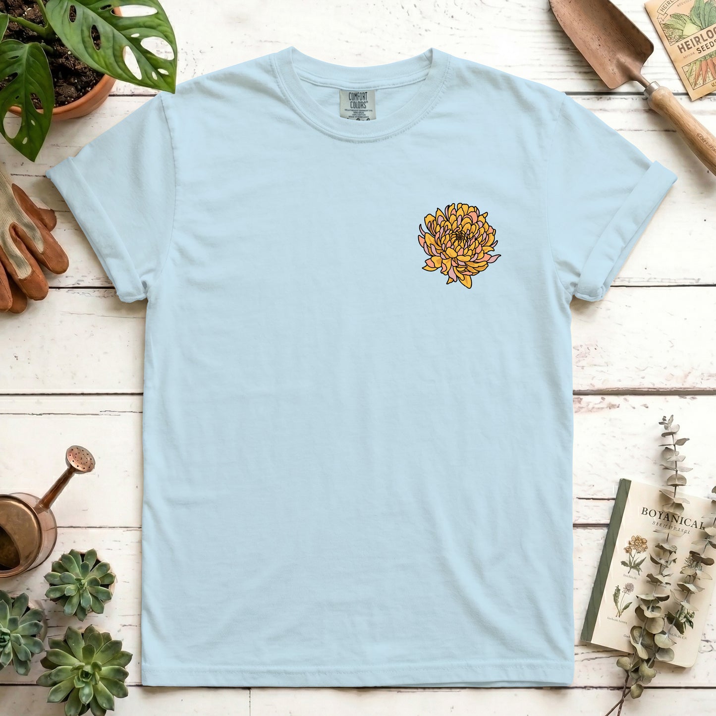 Chrysanthemum