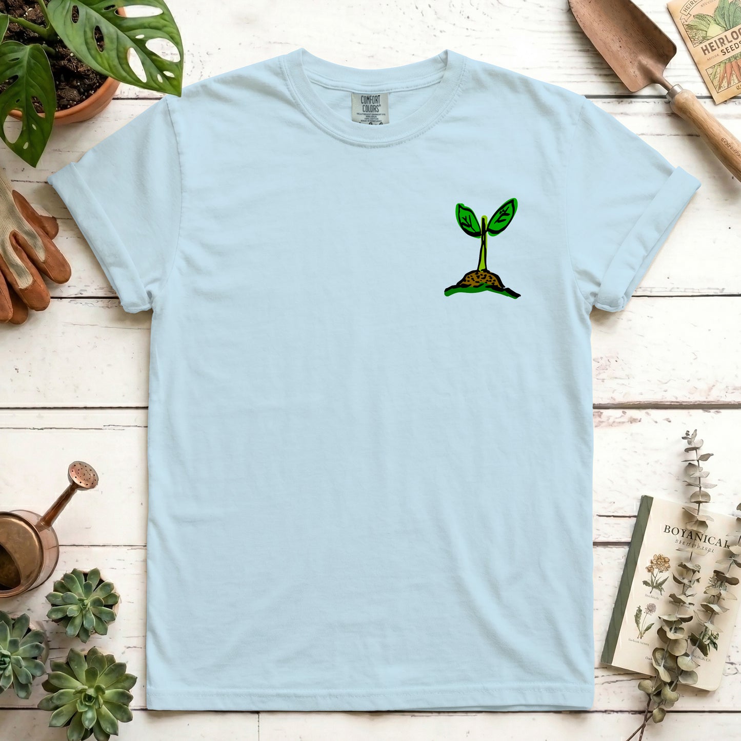 Seedling