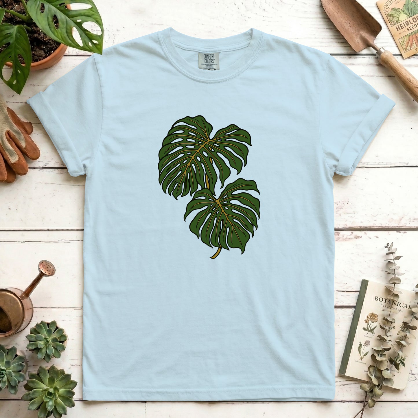 Monstera - Front
