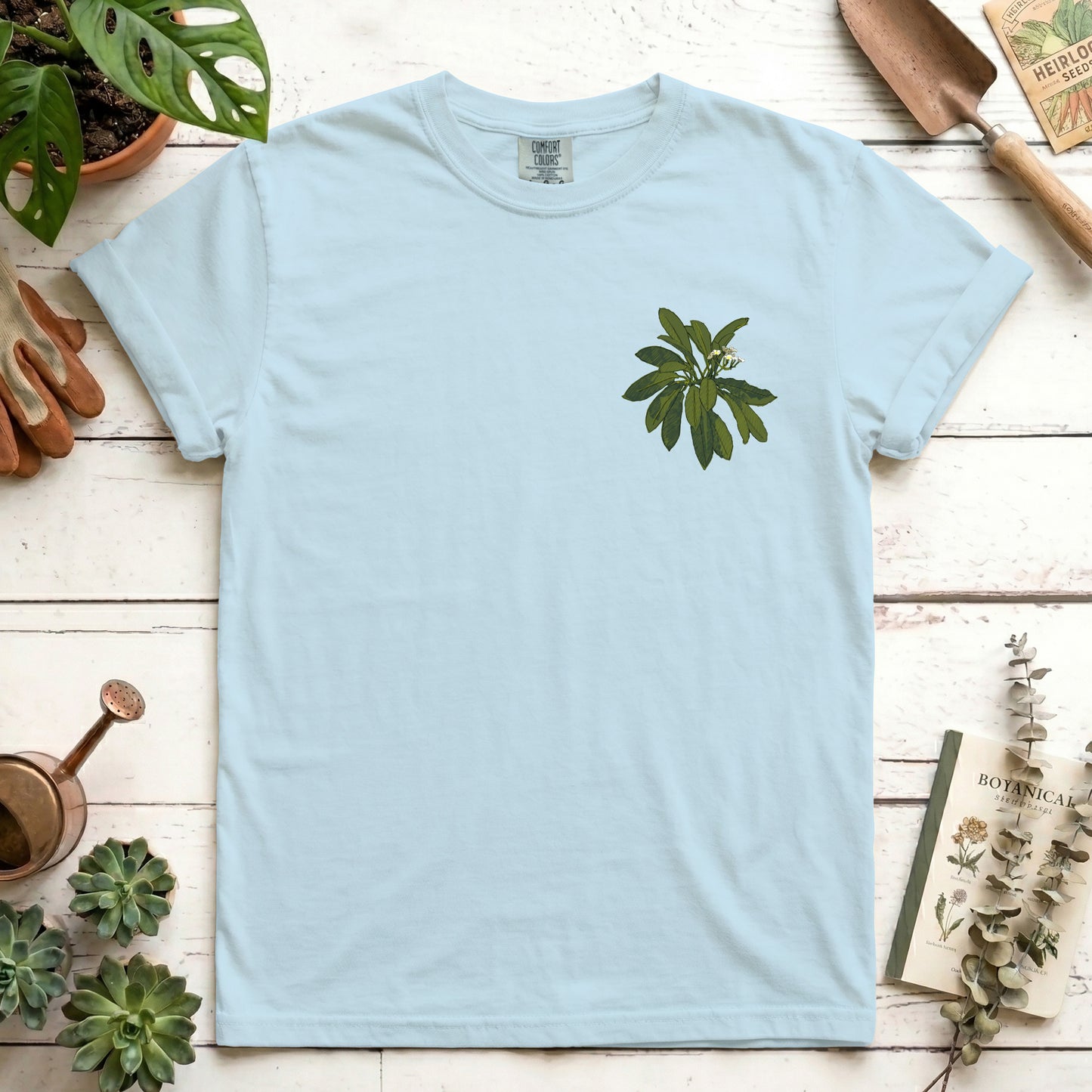 Euphorbia - Front