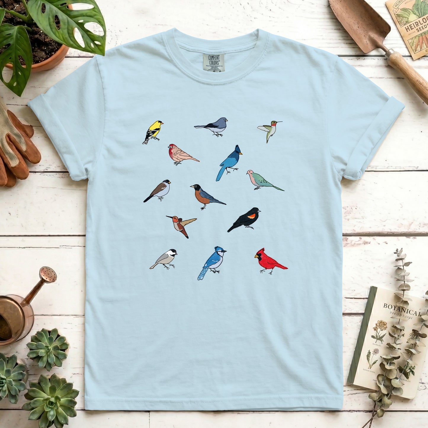 Birds