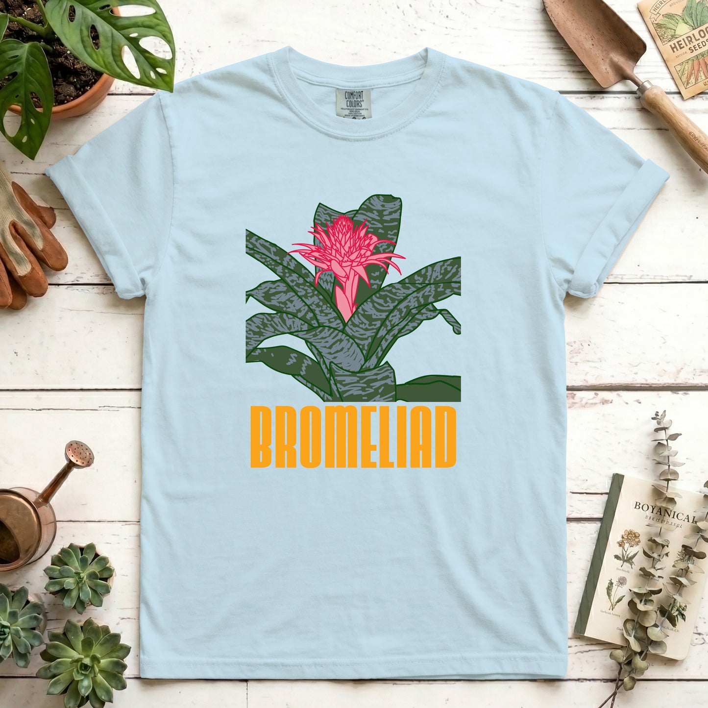 Bromeliad - Front