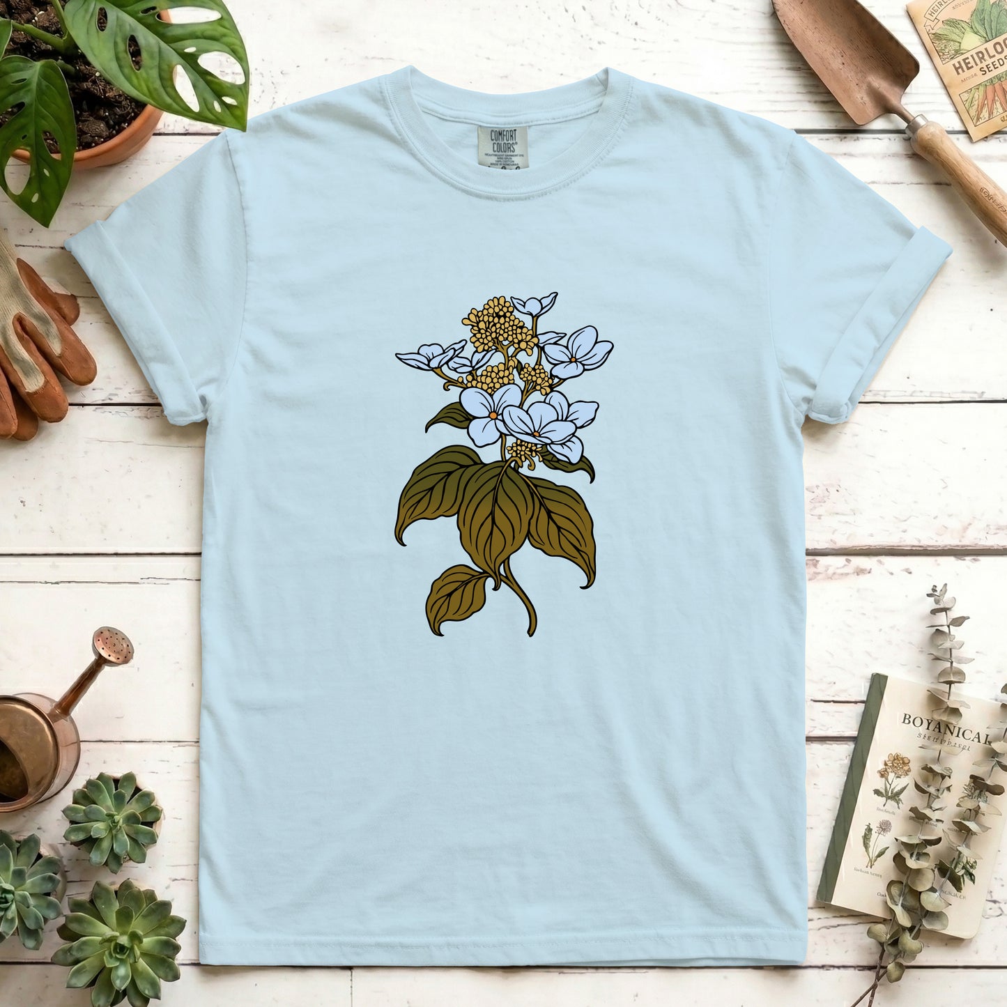 Hydrangea - Front