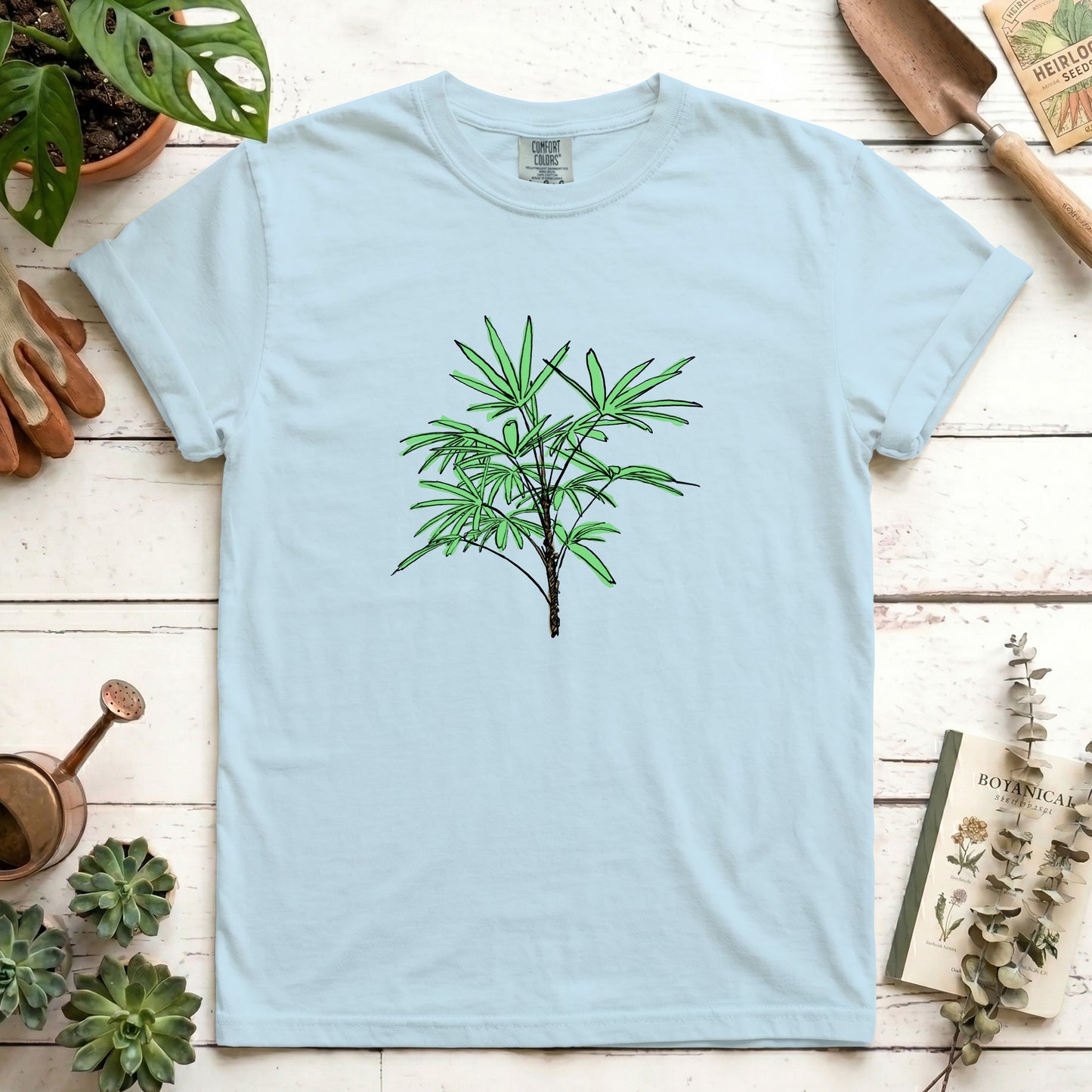 Lady Palm - Front