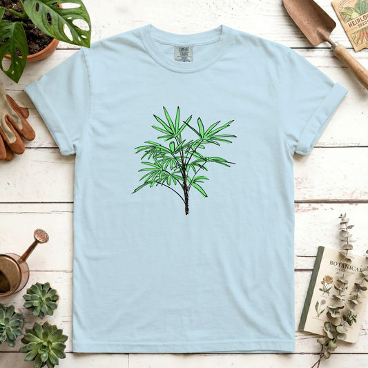 Lady Palm - Front