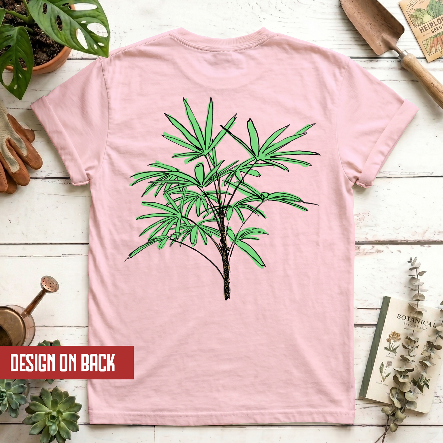 Lady Palm