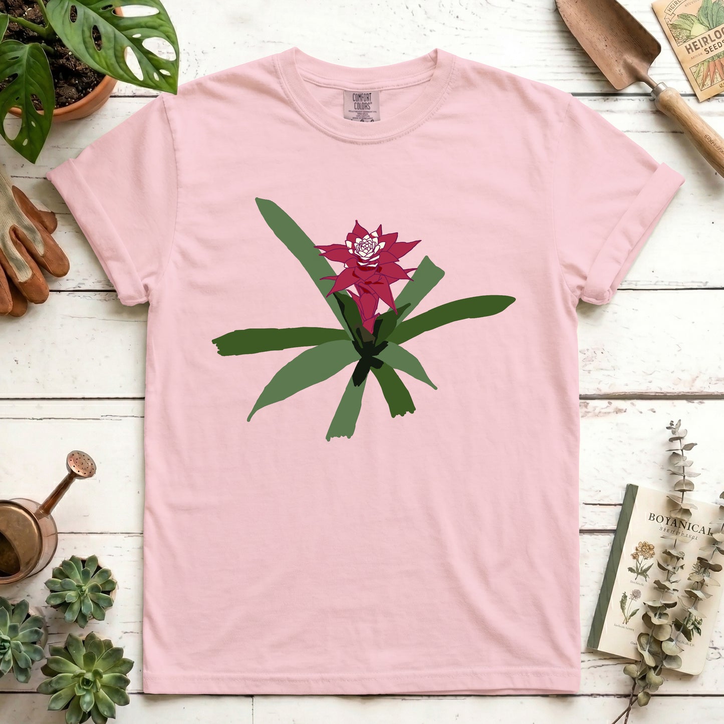 maroon bromeliad