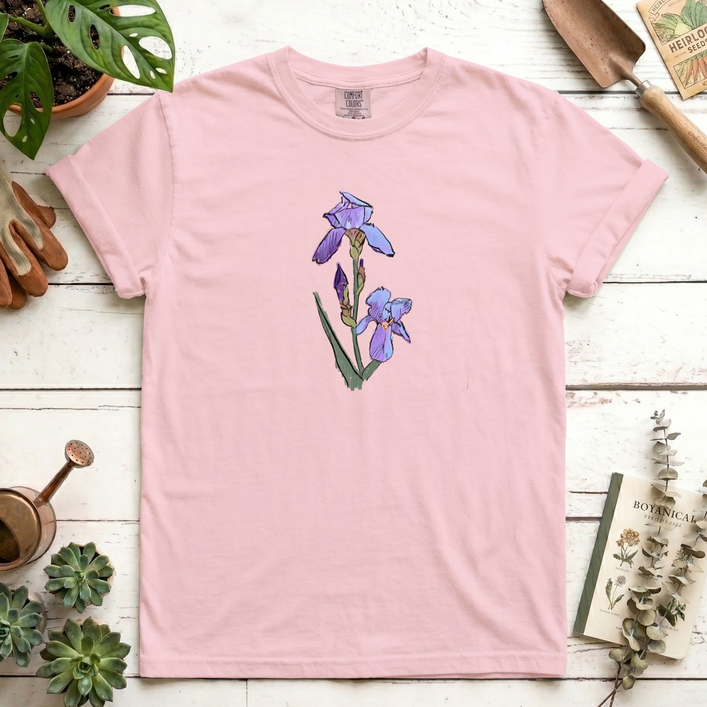 Iris sketch - Front