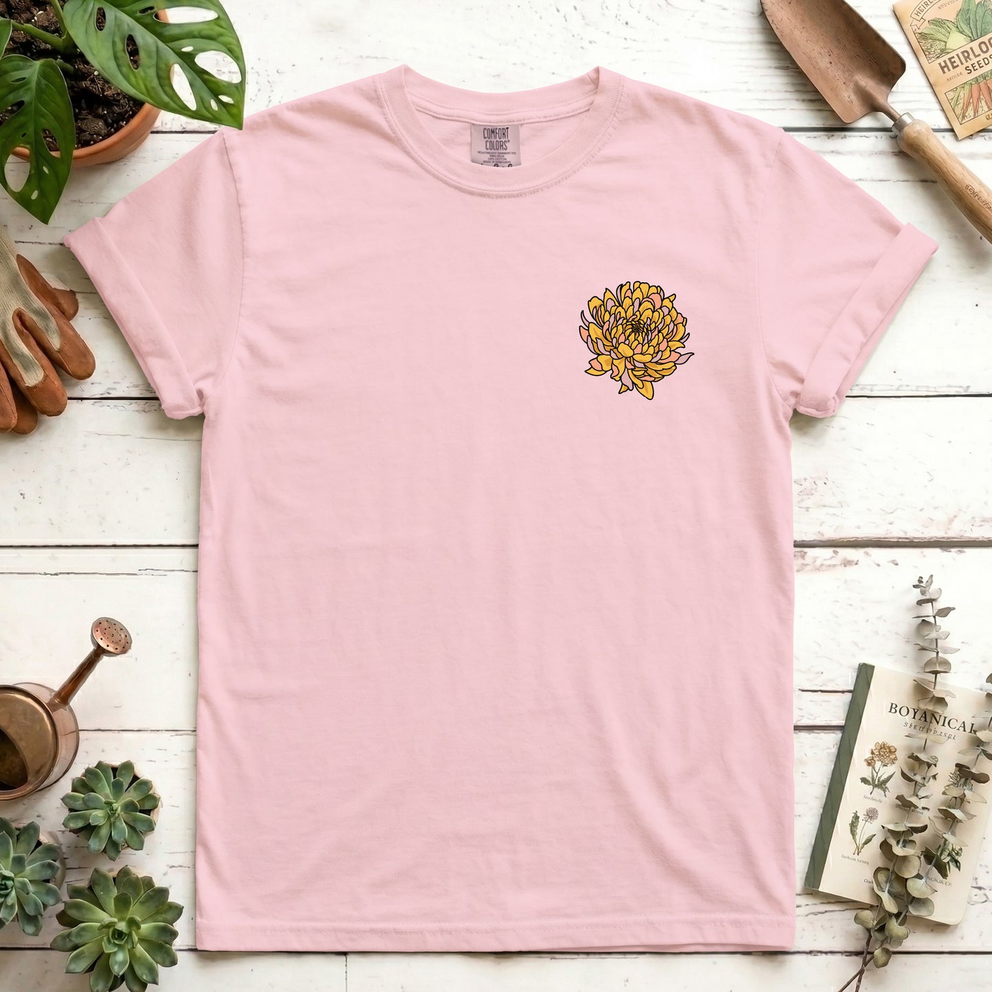 Chrysanthemum