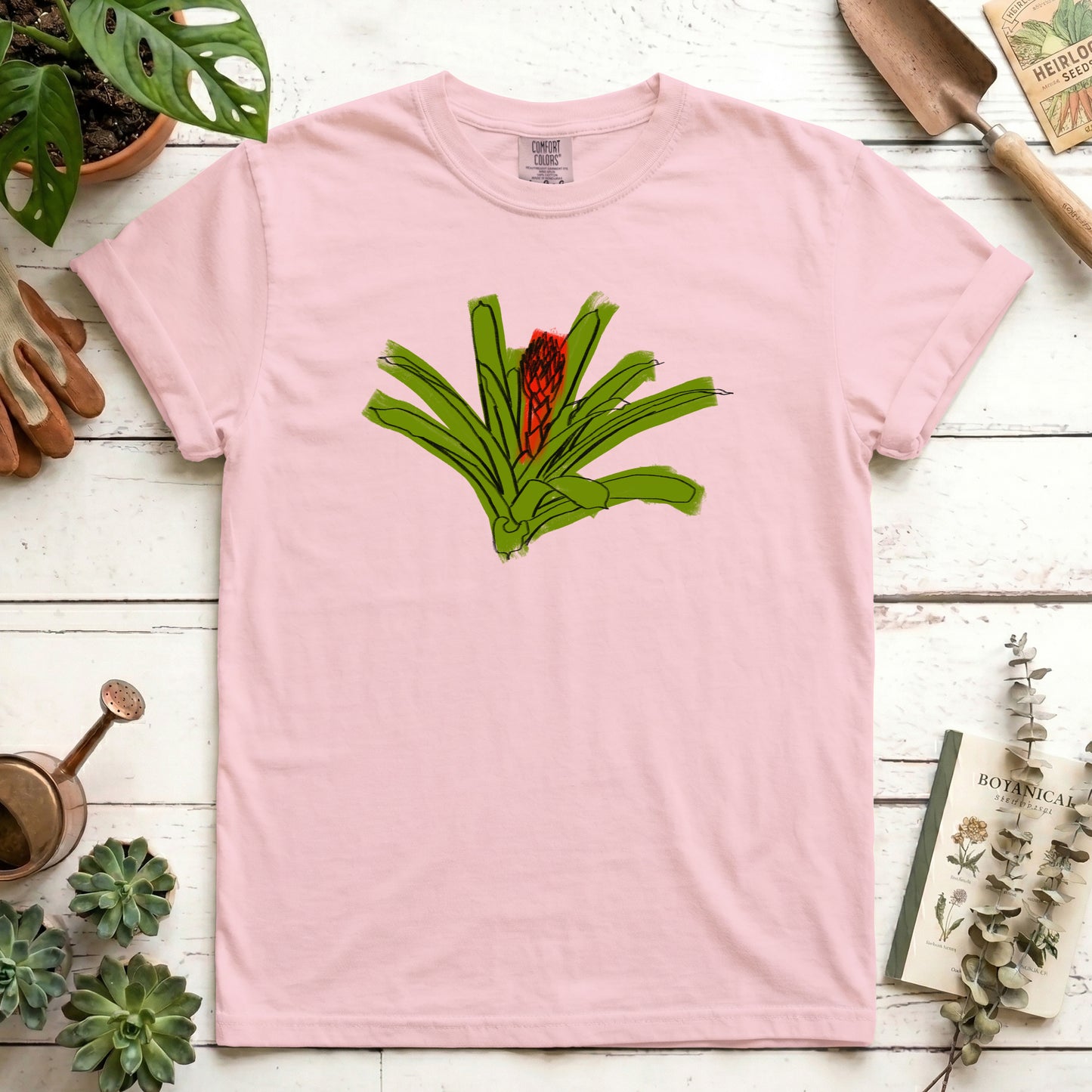Bromeliad sketch
