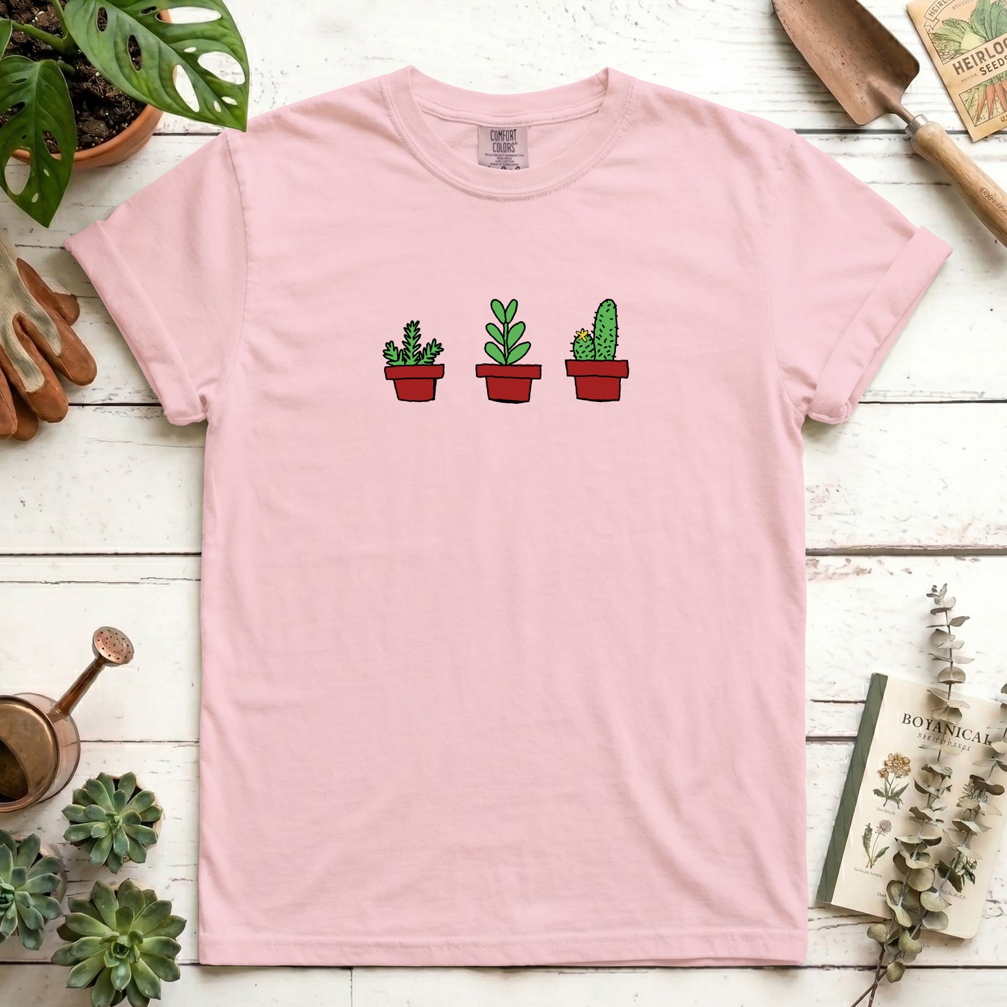 house plants