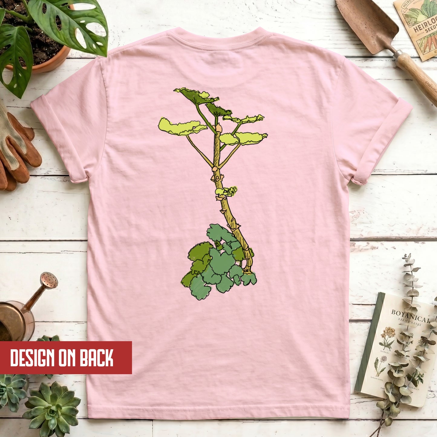 Begonia