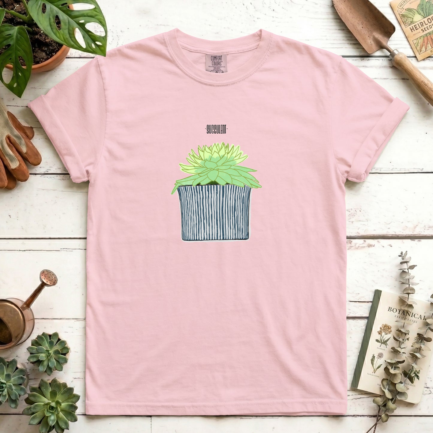 Succulent
