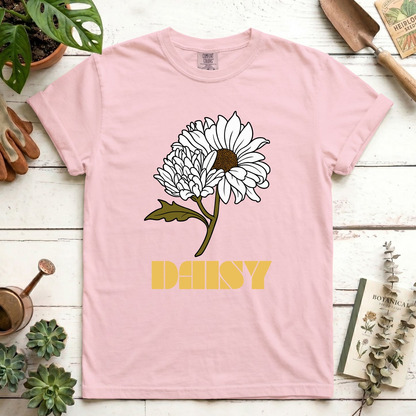 Daisy
