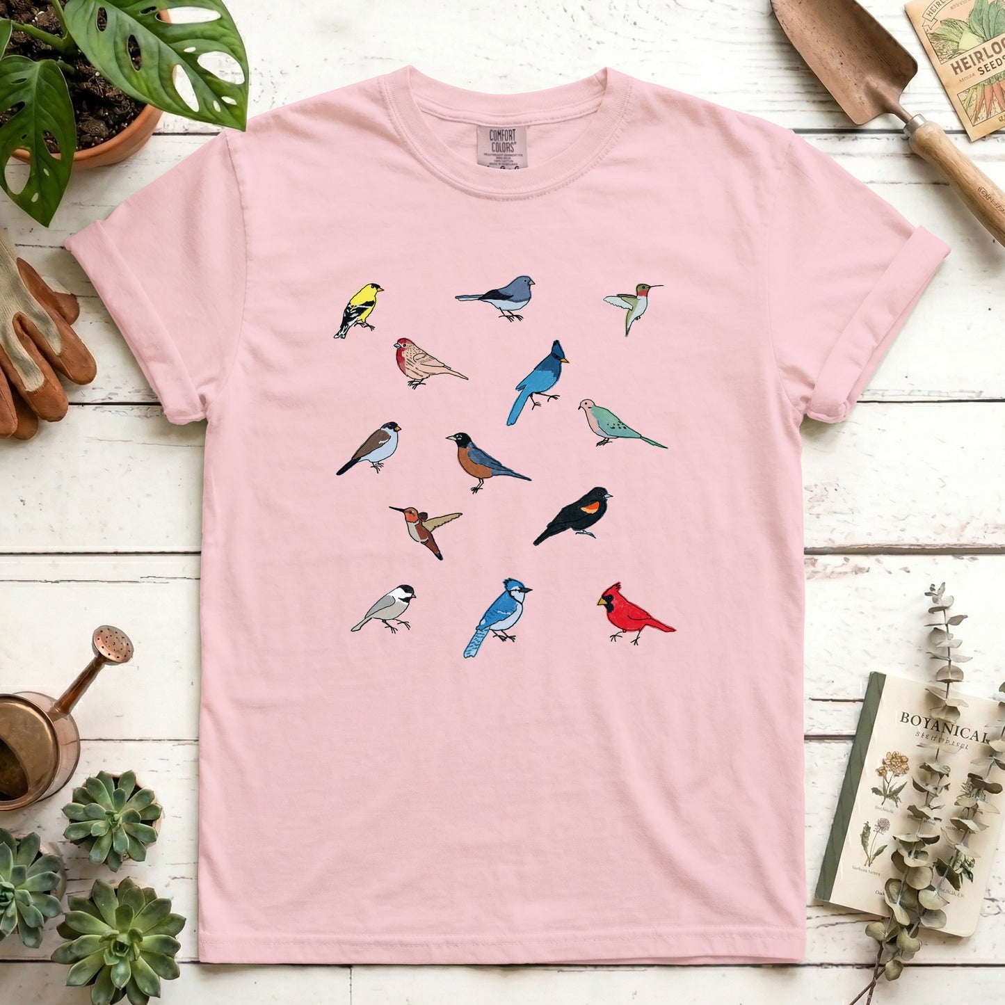 Birds
