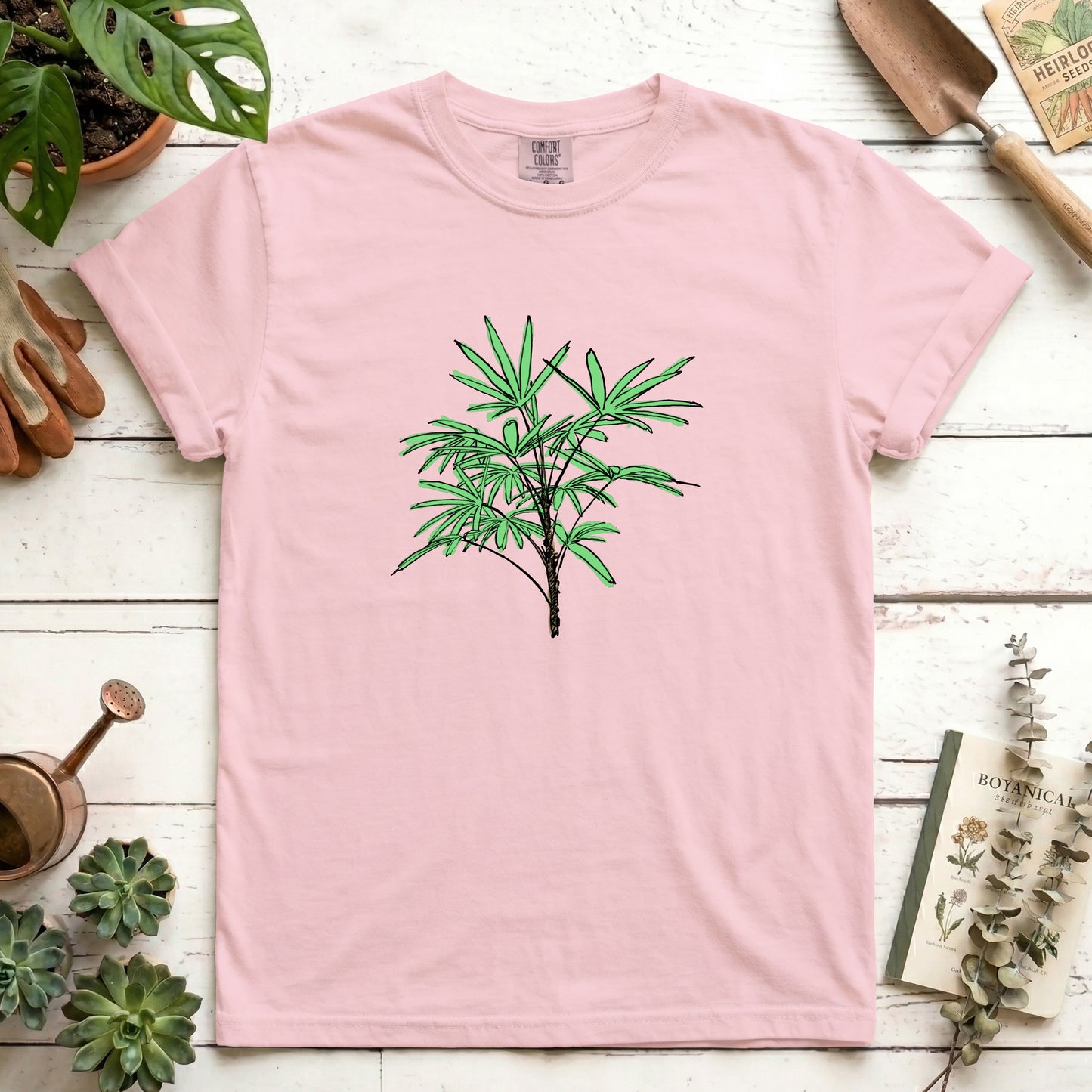 Lady Palm - Front
