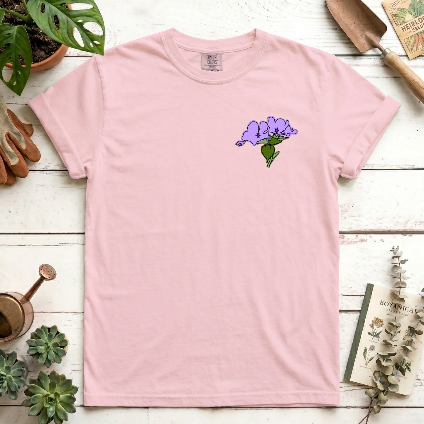 phlox
