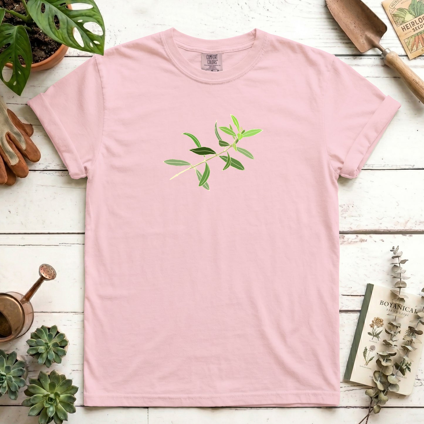 Olive branch