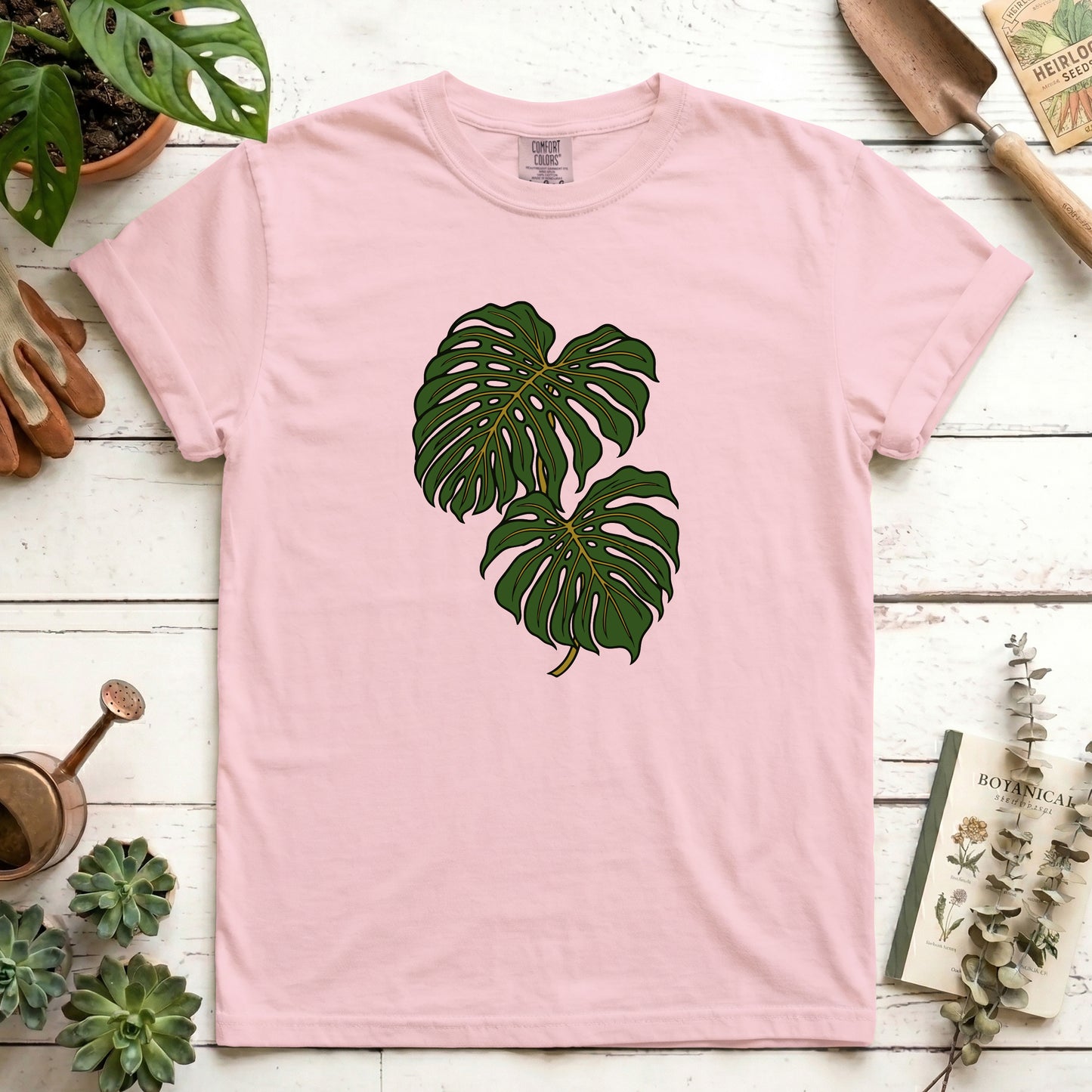 Monstera - Front