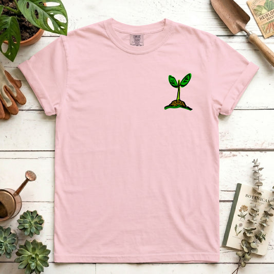 Seedling