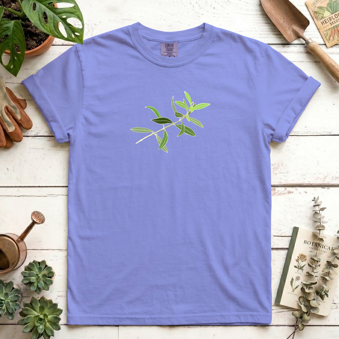 Olive branch