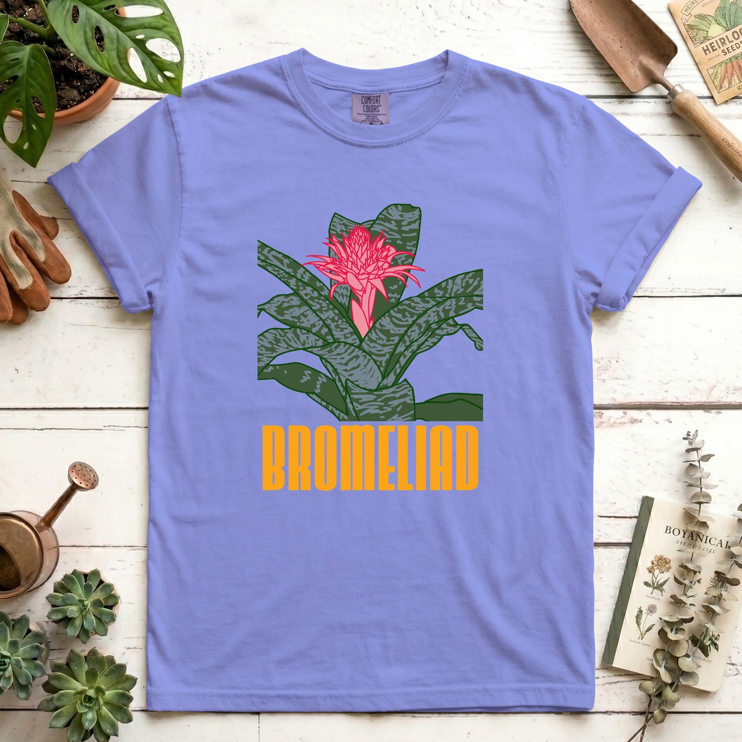 Bromeliad - Front
