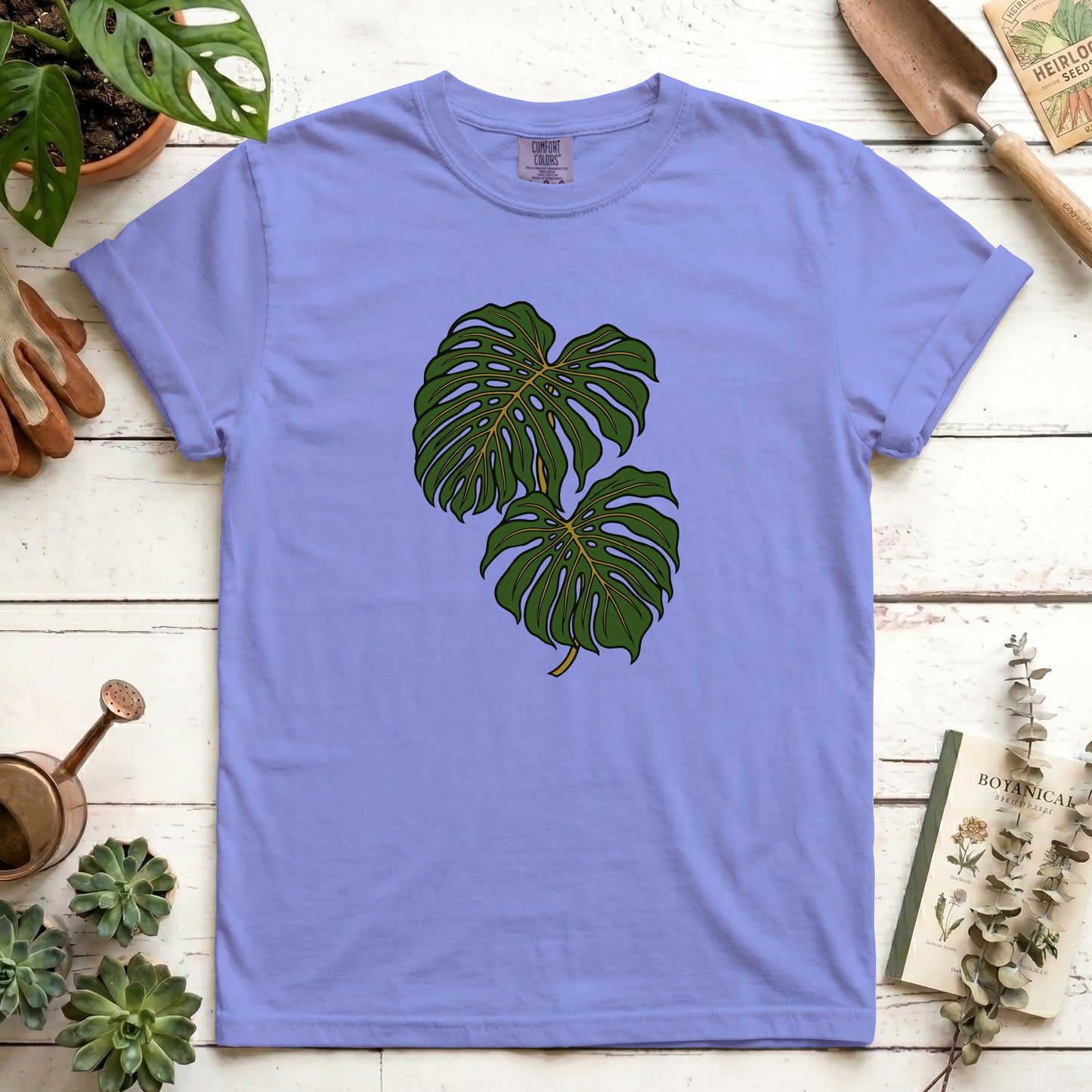 Monstera - Front
