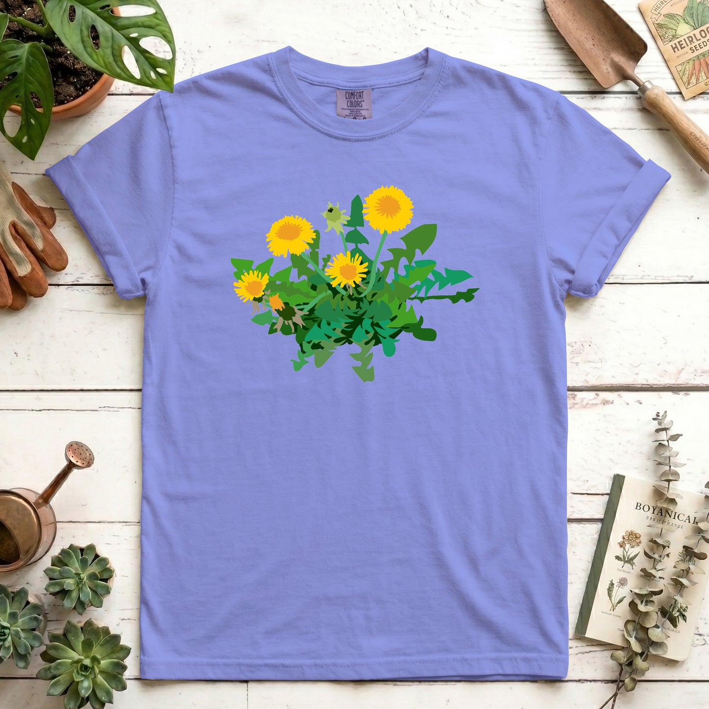 Dandelion - Front