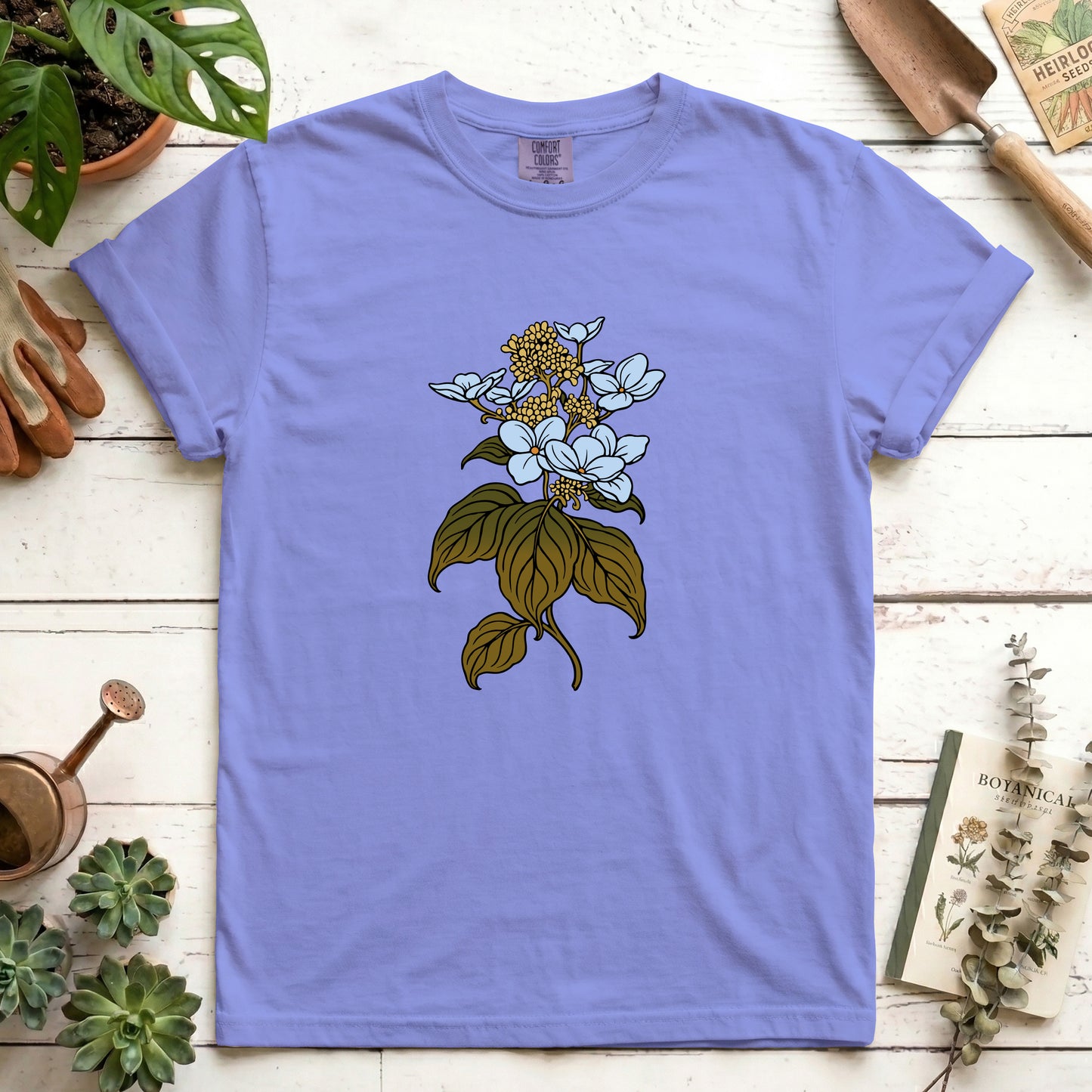 Hydrangea - Front