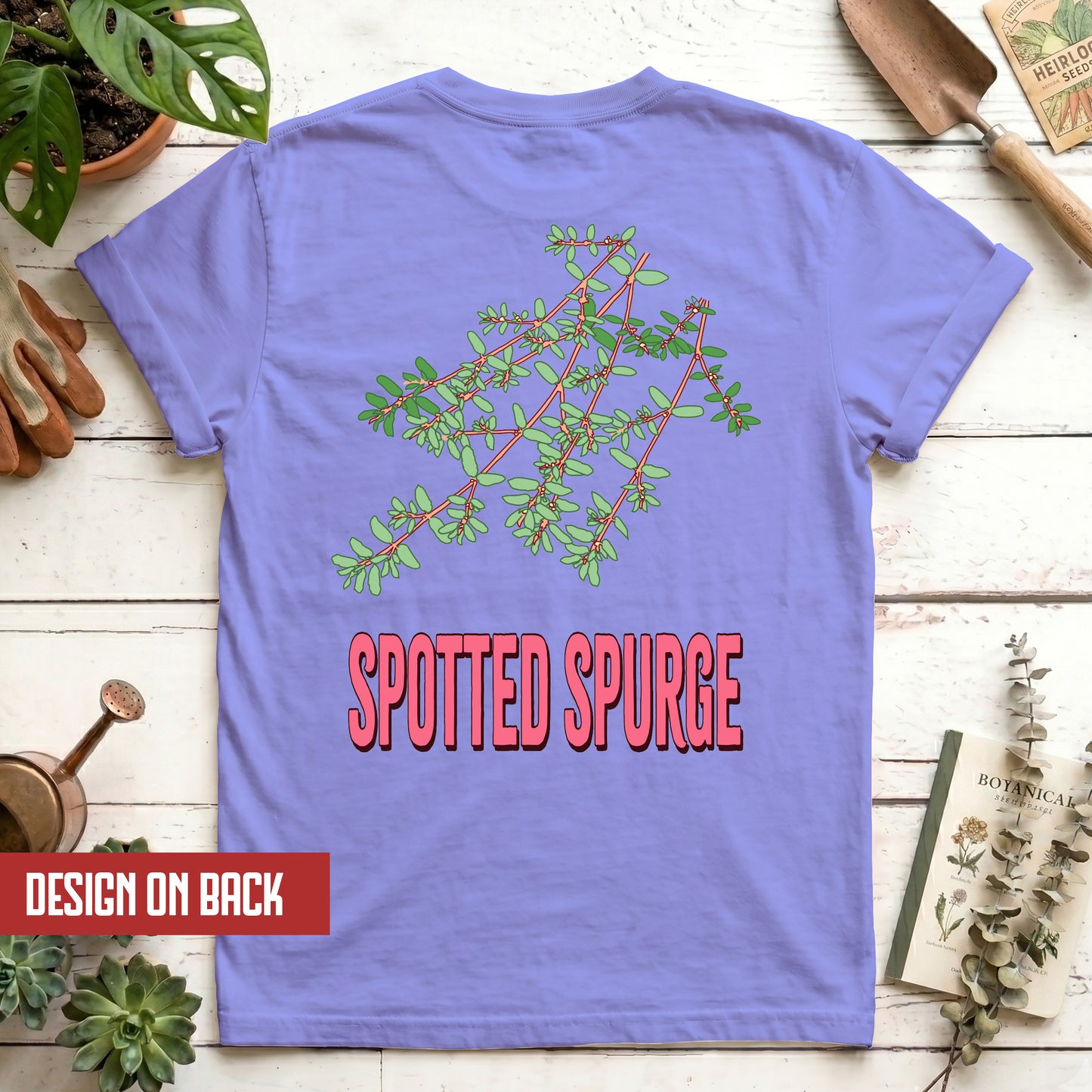 Spotted Spurge