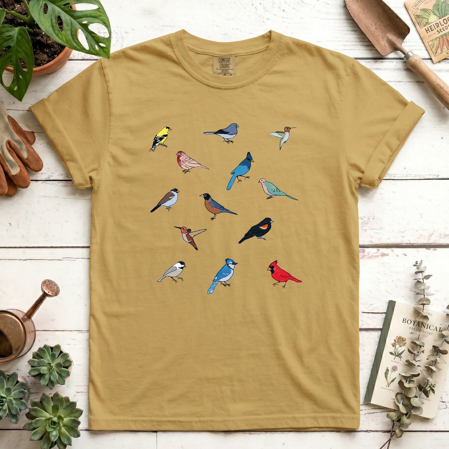 Birds