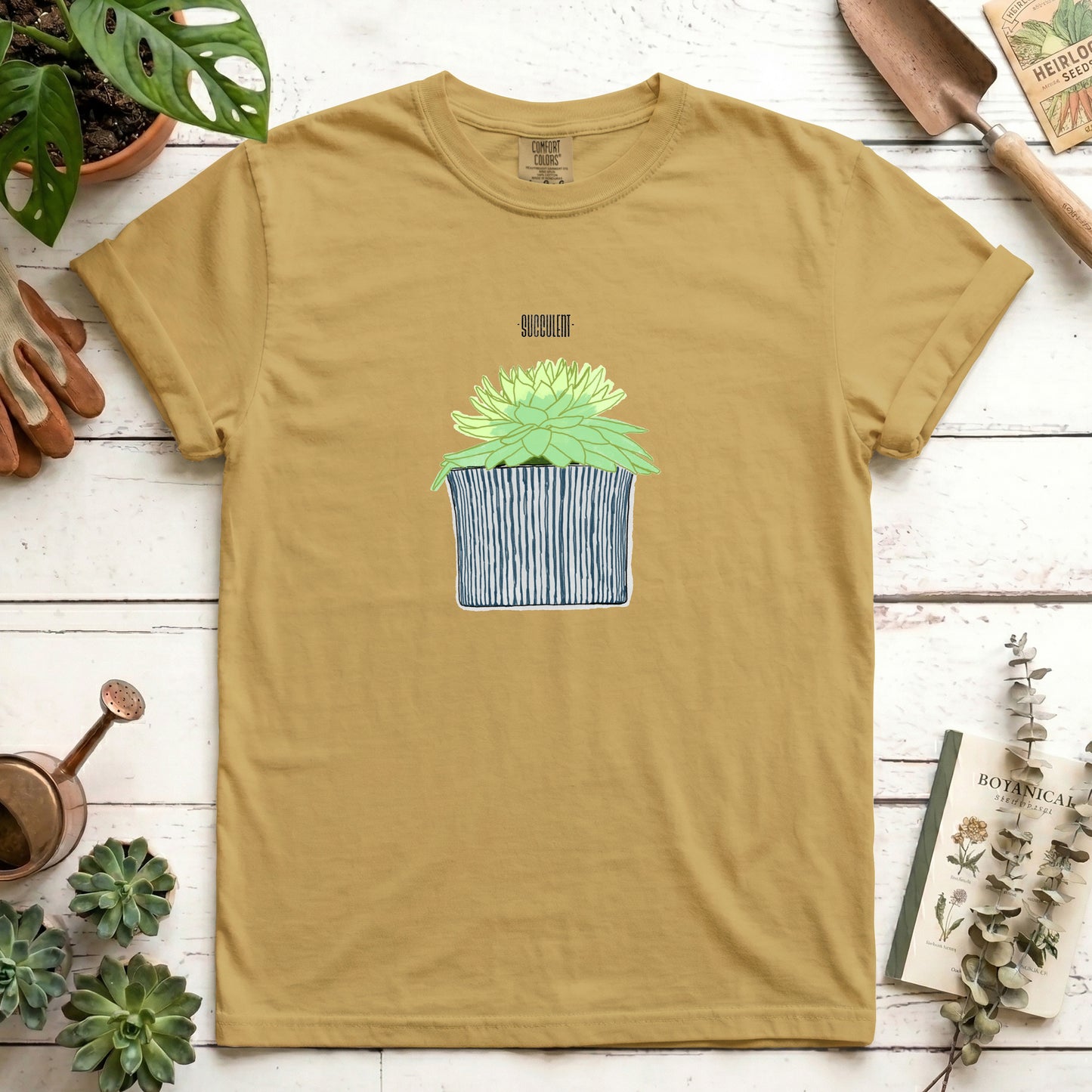 Succulent