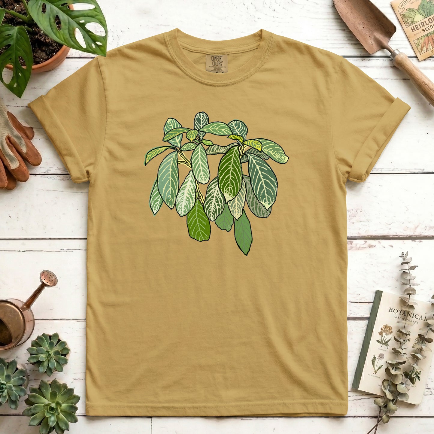 Zebra Plant