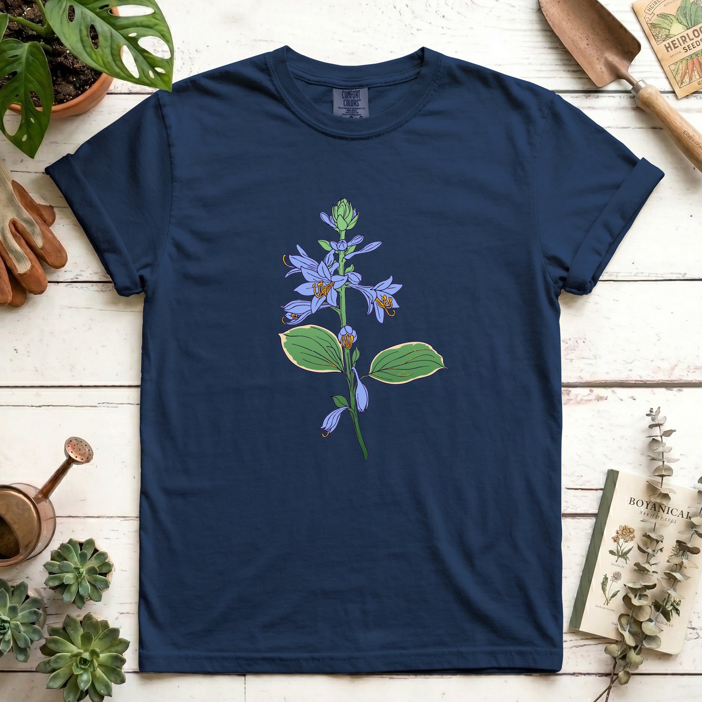 Hosta - Front