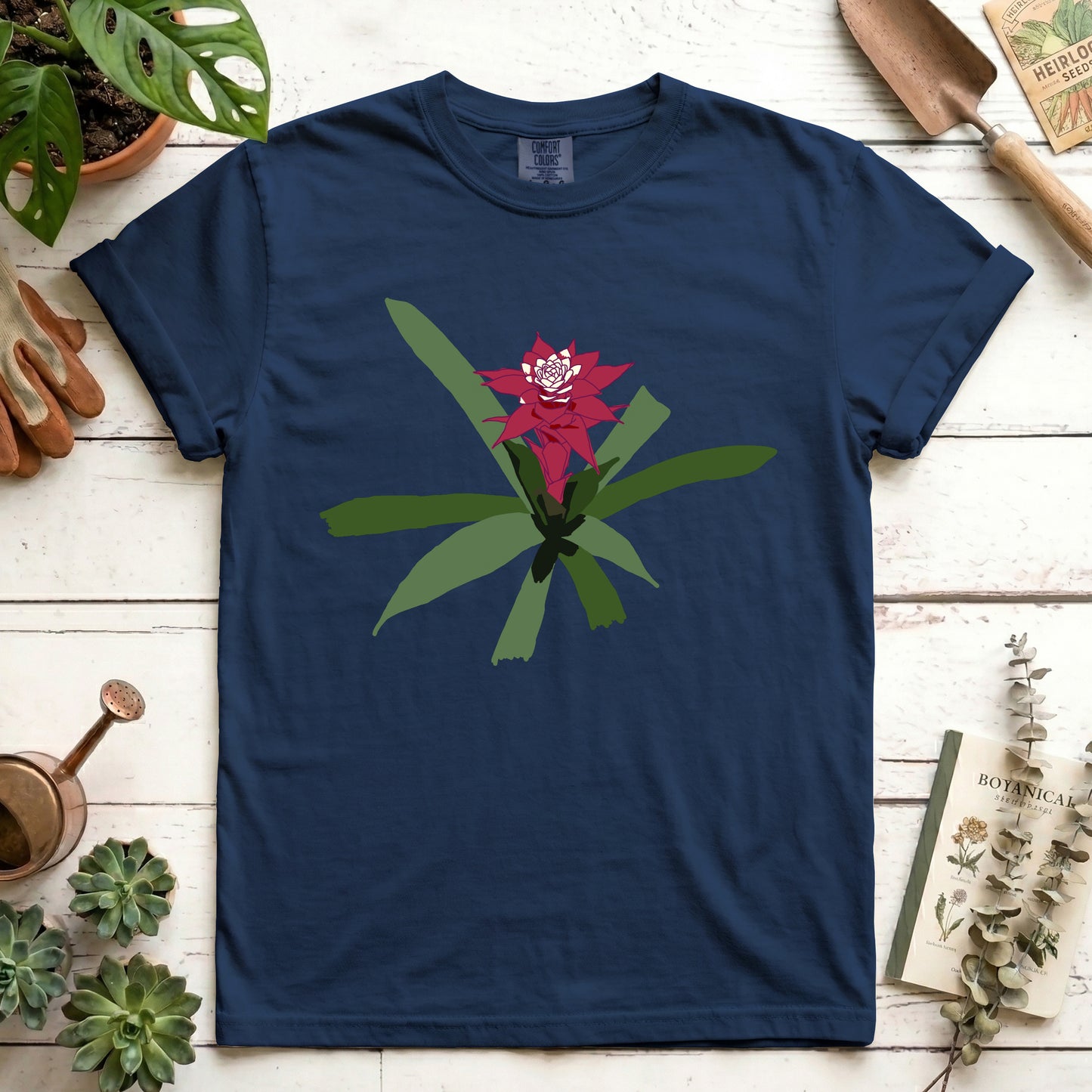 maroon bromeliad