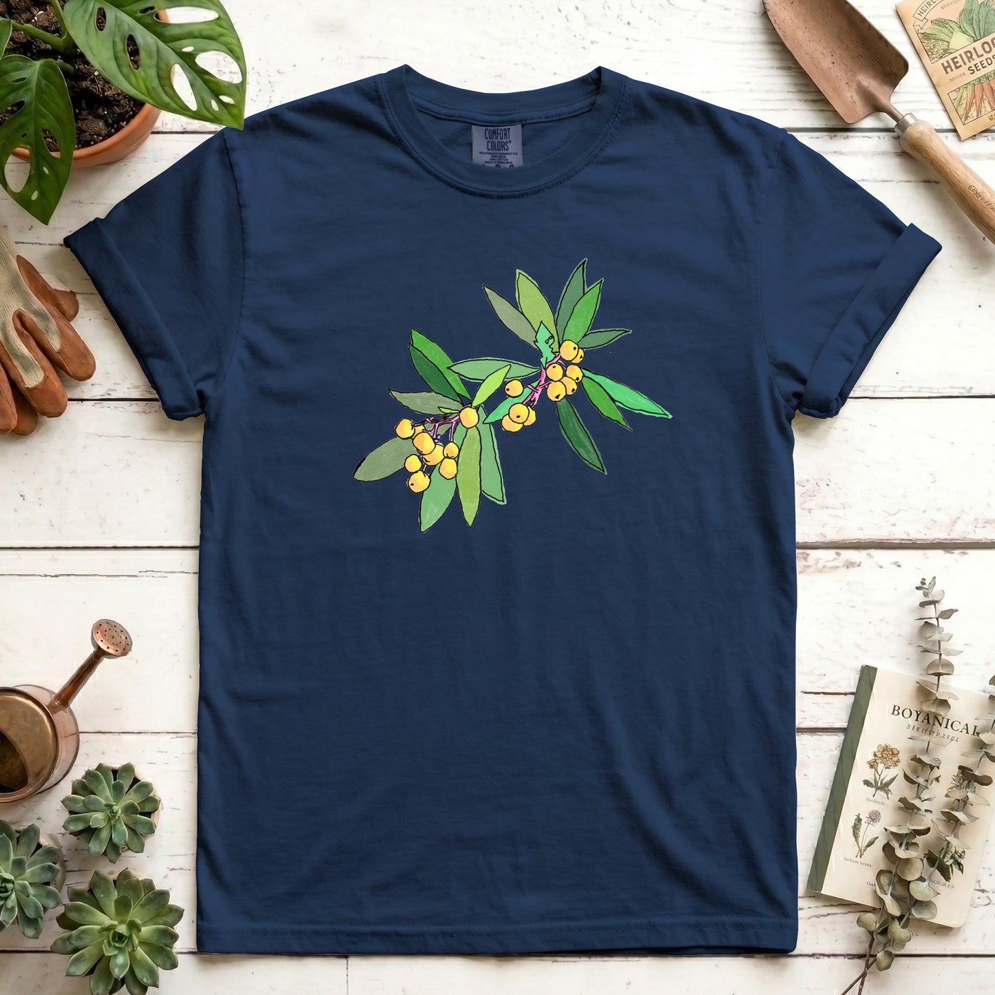 Loquat
