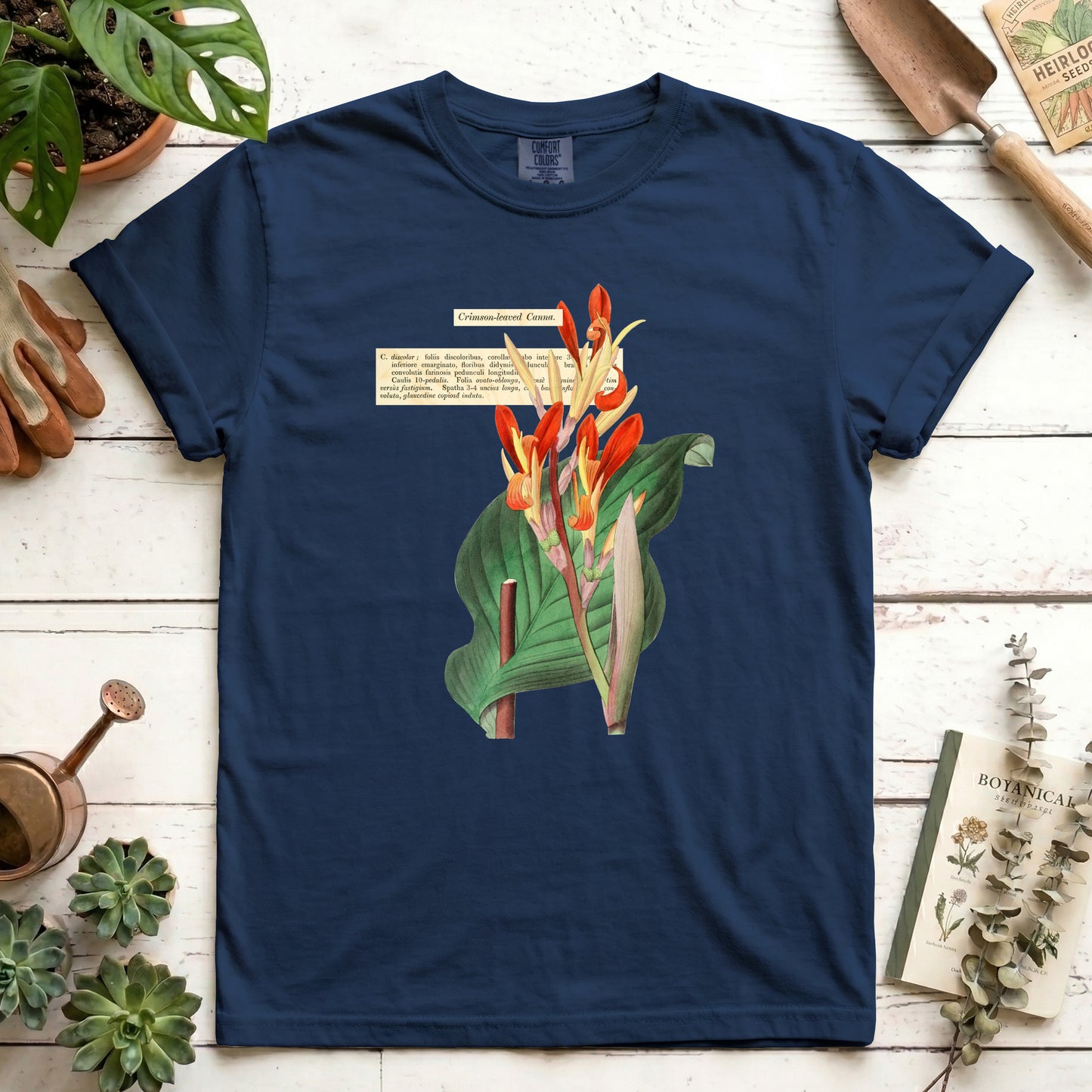 Crimson-leaved Canna