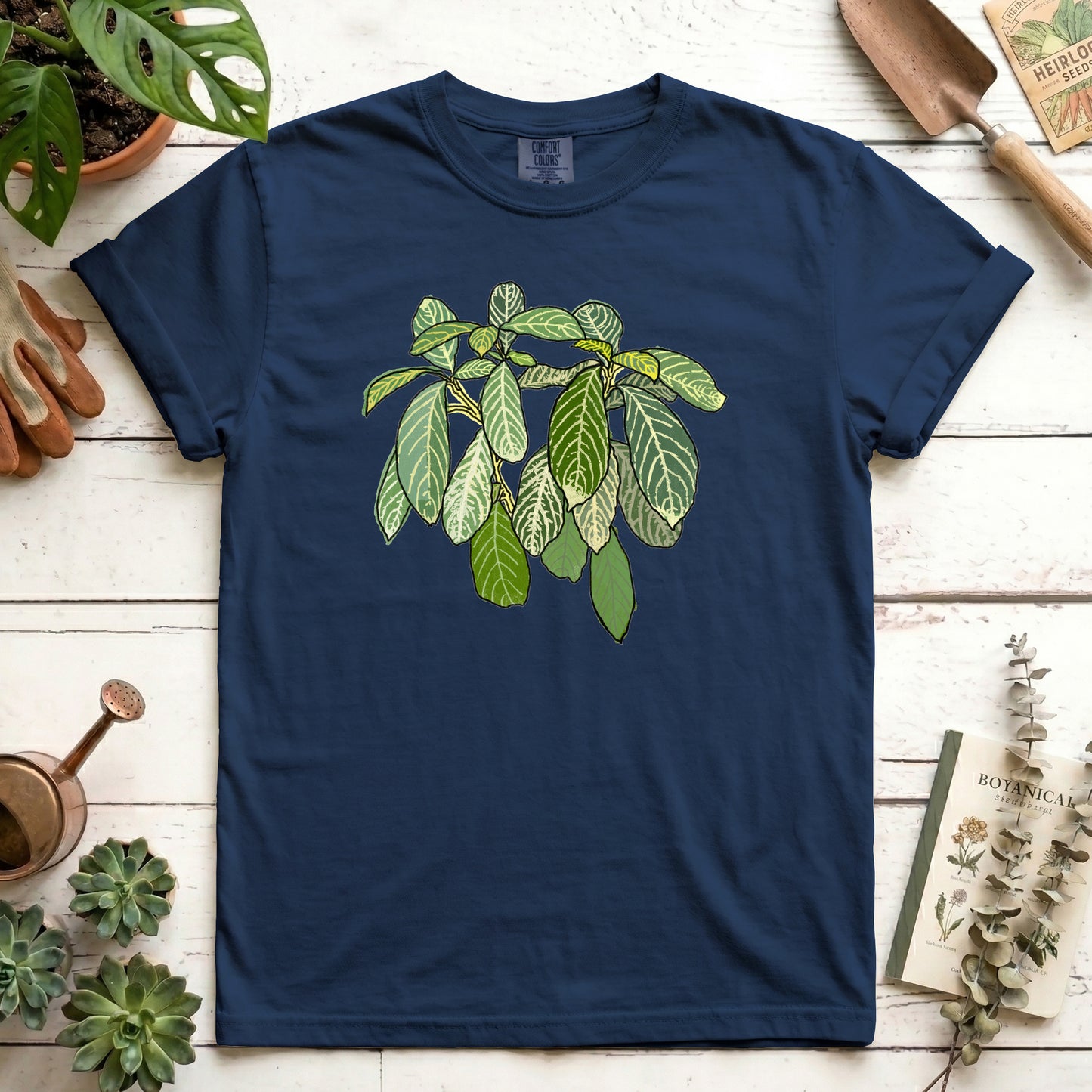 Zebra Plant
