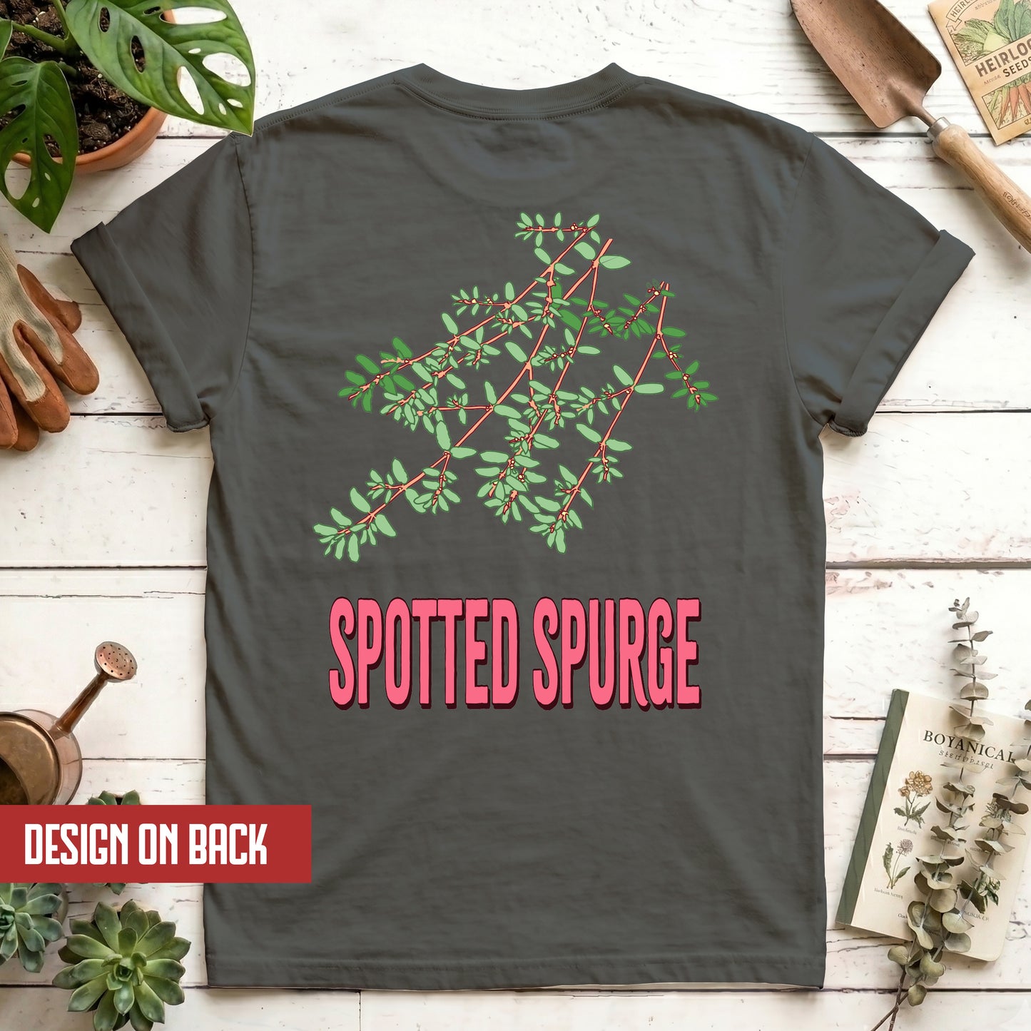 Spotted Spurge