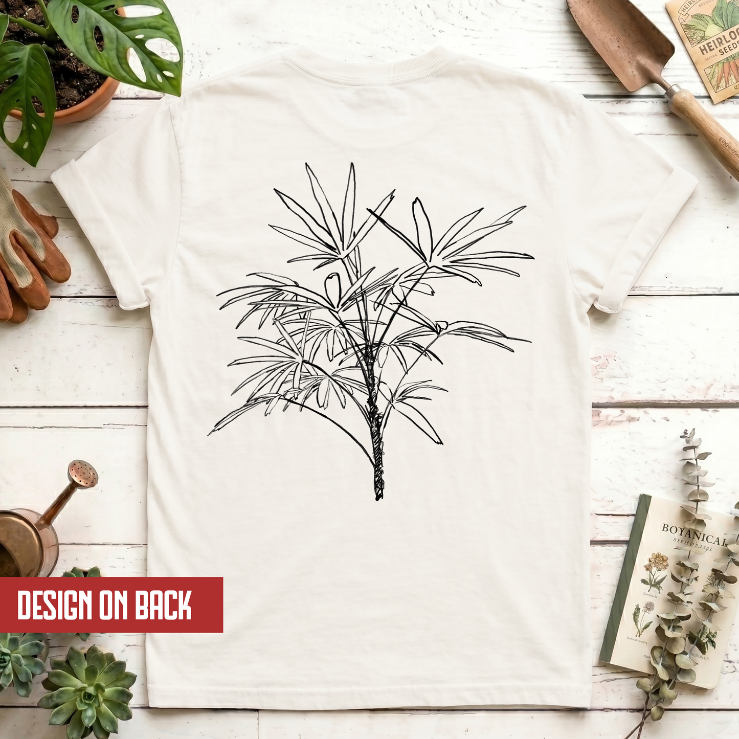 Lady Palm